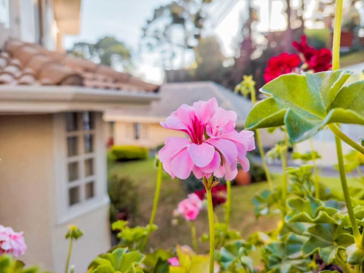 Pousada Nacional Inn Campos do Jordão エクステリア 写真
